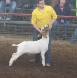 Meet your Posher, Lisa